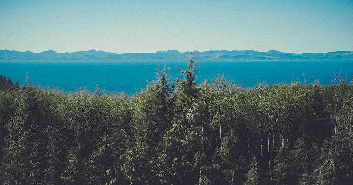 Melhor Lava e Seca 13kg: Ranking Completo 2026