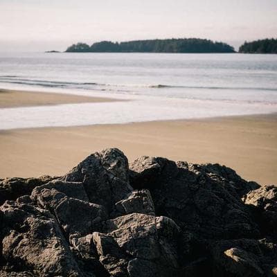 Linha Electrolux Perfect Care