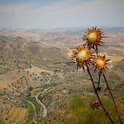 Electrolux Perfect Care 11kg