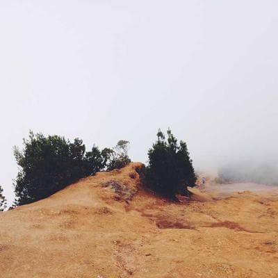 Electrolux Perfect Care 13kg