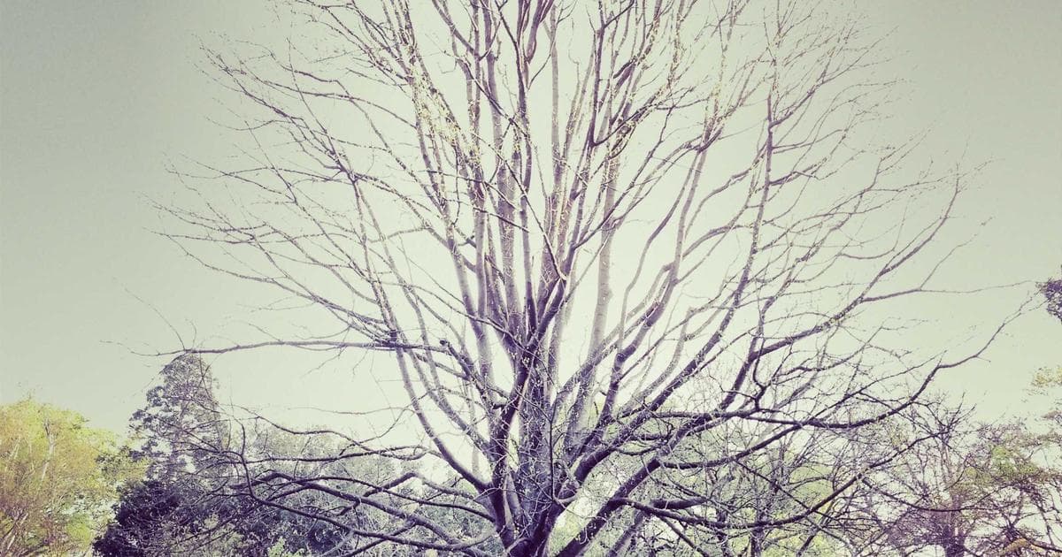 Lava e Seca: Como Funciona o Processo de Lavagem e Secagem?