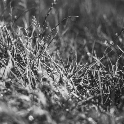 LG Vivace VC5 10.5kg