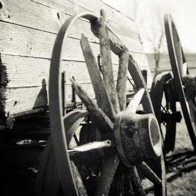 Midea HealthGuard 11kg