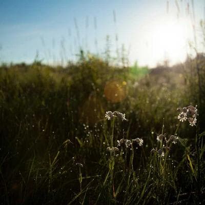 Midea Storm Wash Inverter 11kg