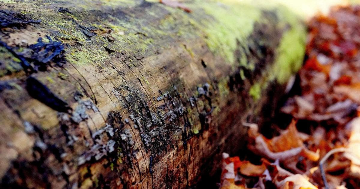 Lava e Seca Mais Vendida: Ranking Completo 2026