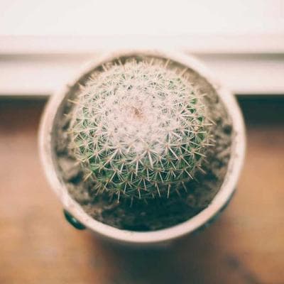 Samsung WD15T Smart 15kg