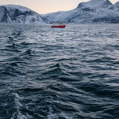 Samsung WD11T Smart 11kg