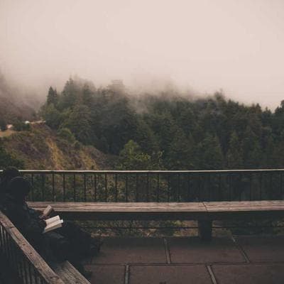 Samsung WD13T Smart 13kg