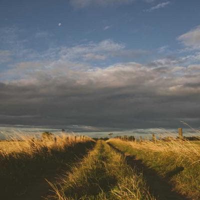 Samsung WD13T Smart 13kg